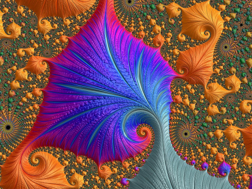 1114041 (a): :3072x2304